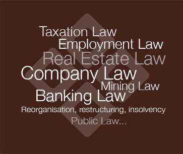 D&S Legal Law Firm